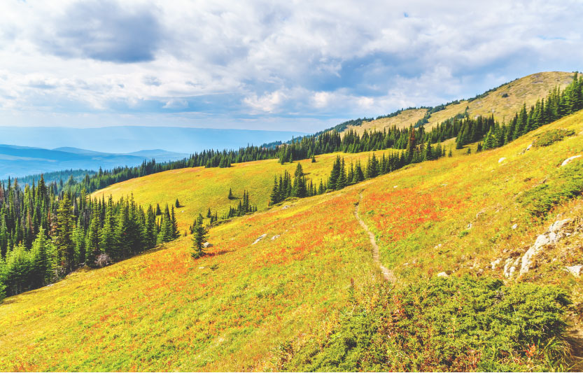Thompson-Rivers-Appraisals-Kamloops-1 Thompson Rivers Appraisals Kamloops BC
